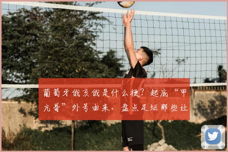 葡萄牙俄亥俄是什么梗?起底“甲亢哥”外号由来,盘点足坛那些让人捧腹的球迷文化热词